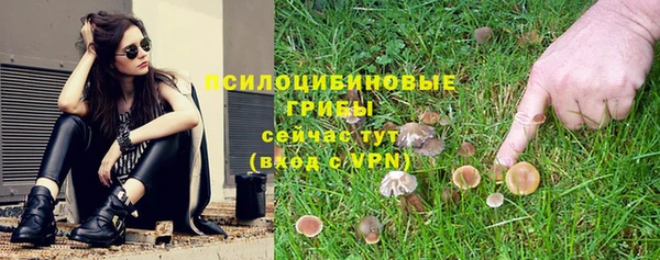 кокс Лагань