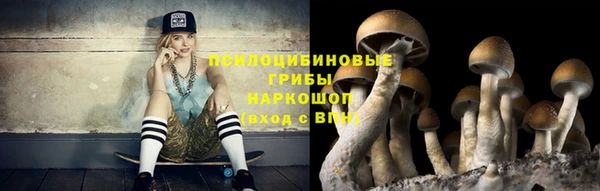 соль курить ск Ладушкин