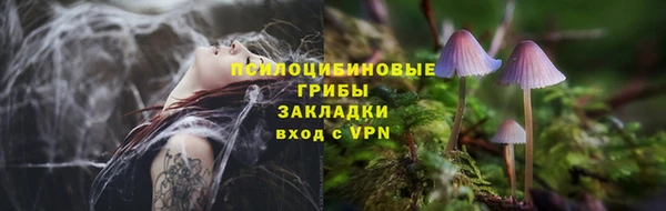 дживик Лабытнанги