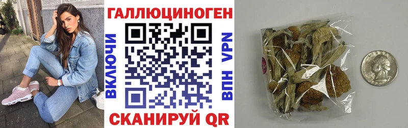 купить наркотик  MEGA ONION  Галлюциногенные грибы Magic Shrooms  Усолье 